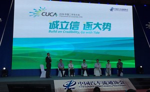 2016CUCA中国二手车市场形势分析