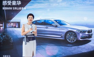 驾趣不减豪华倍增 新BMW 5系Li品鉴会在京举行